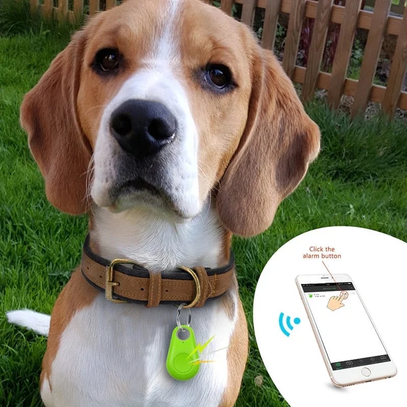 🐾 Nyhet 53 % RABATT|  Bluetooth GPS Husdjursspårare | Ingen Månadsavgift 📍