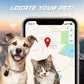 Bluetooth GPS Husdjursspårare | Ingen Månadsavgift 📍